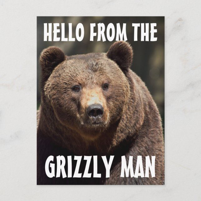 GRIZZLY MAN GRIZZLY BEAR POSTCARDS (Front)