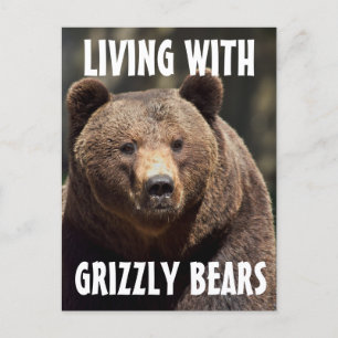 GRIZZLY MAN LIVING WITH BEARS POSTCARDS