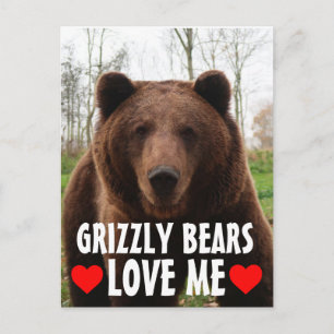 GRIZZLY MAZE GRIZZLY BEAR MAN POSTCARDS
