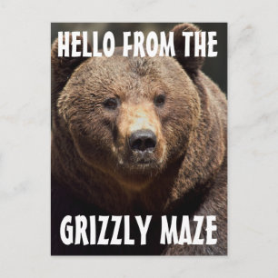 GRIZZLY MAZE GRIZZLY BEAR POSTCARDS