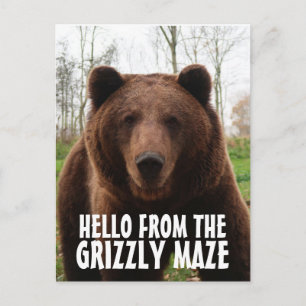 GRIZZLY MAZE GRIZZLY BEAR POSTCARDS