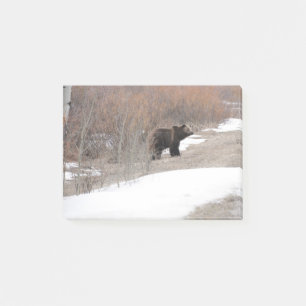 Grizzly Post-it Notes