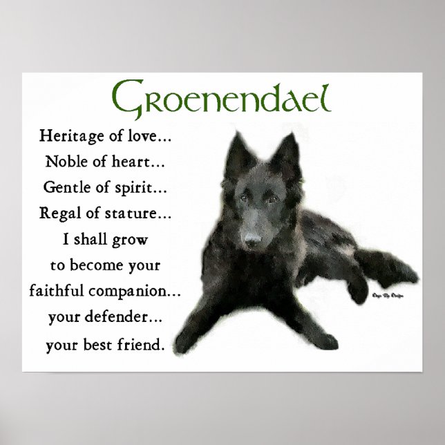 Groenendael Belgian Sheepdog Gifts Poster (Front)
