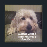 Groodle magnet<br><div class="desc">A house is not a home without a Groodle magnet</div>