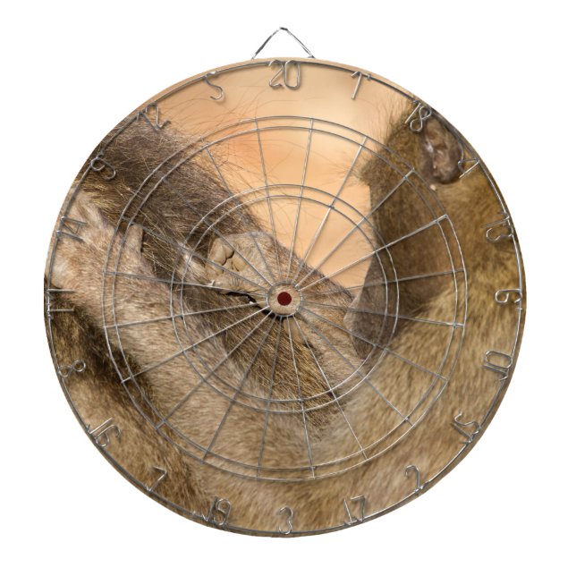 Grooming baboons dartboard (Front)