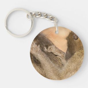 Grooming baboons key ring