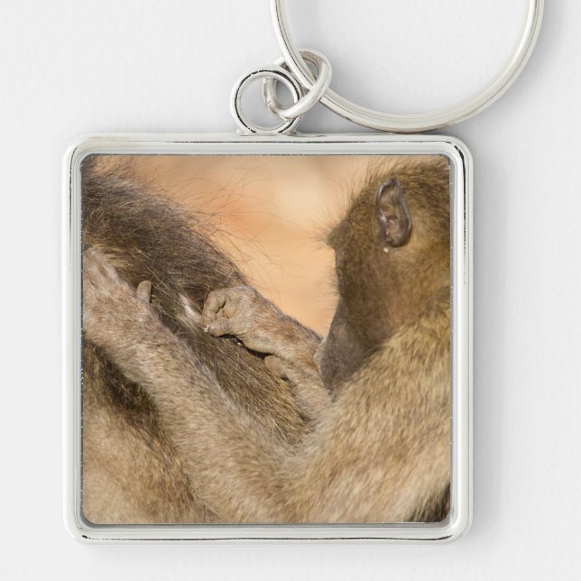 Grooming baboons key ring (Front)