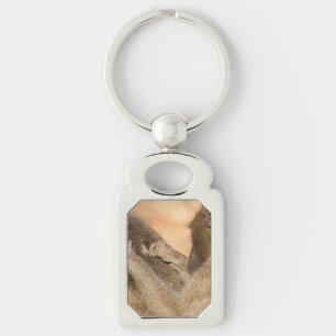 Grooming baboons key ring