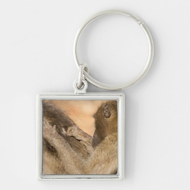 Grooming baboons key ring (Front)