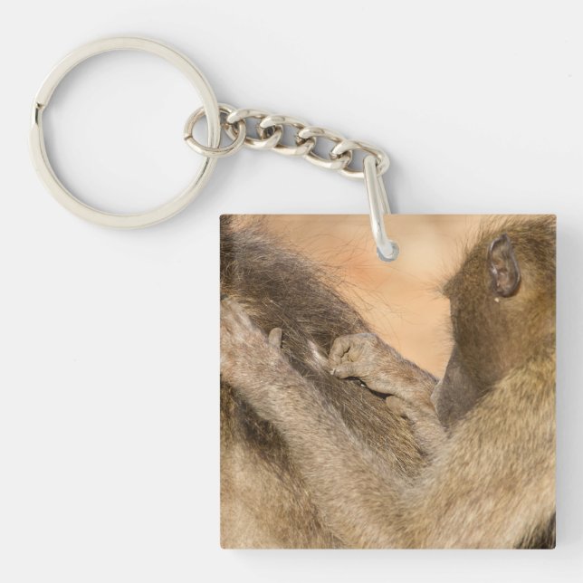 Grooming baboons key ring (Front)