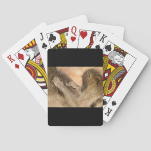 Grooming baboons playing cards