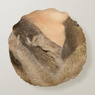 Grooming baboons round cushion