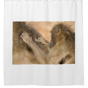 Grooming baboons shower curtain