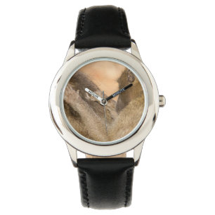 Grooming baboons watch
