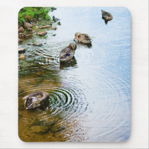 Grooming Ducks 2 Mouse Pad