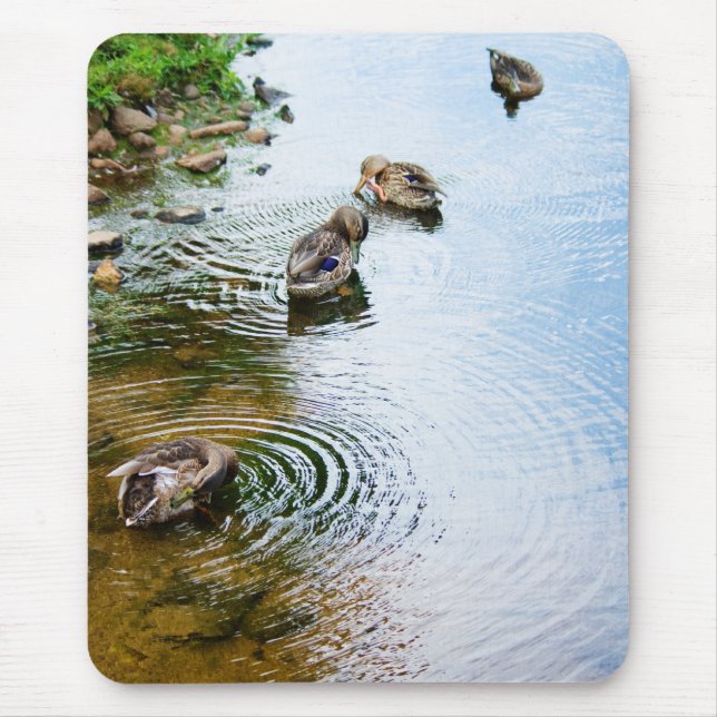 Grooming Ducks 2 Mouse Pad (Front)