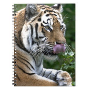 Grooming Tiger Notebook
