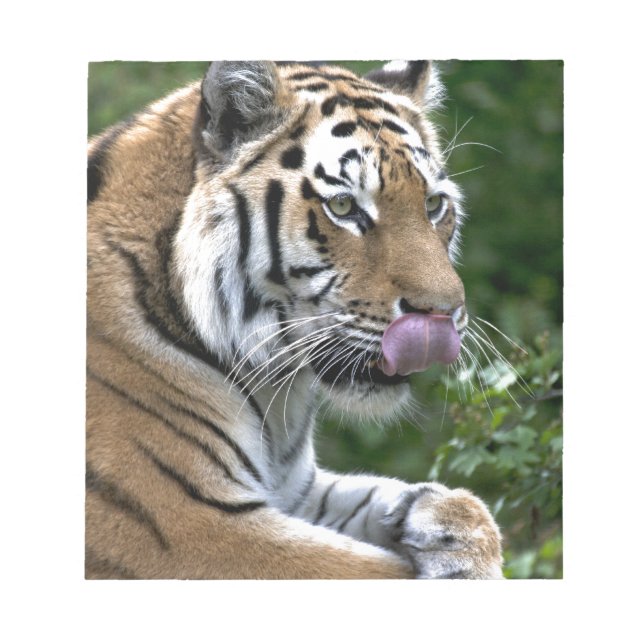 Grooming Tiger Notepad (Front)