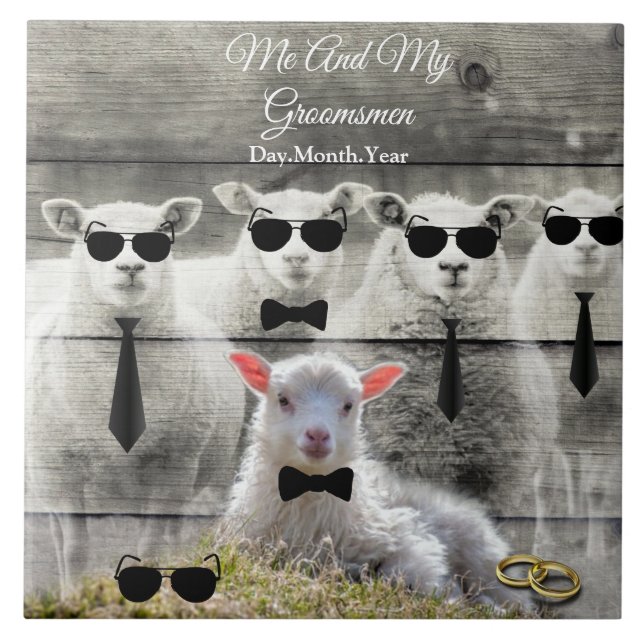 Groomsmen Sheep Flock Baby Lamb Ceramic Tile (Front)
