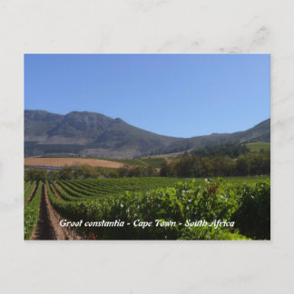 Groot Constantia - Cape Town - South Africa Postcard