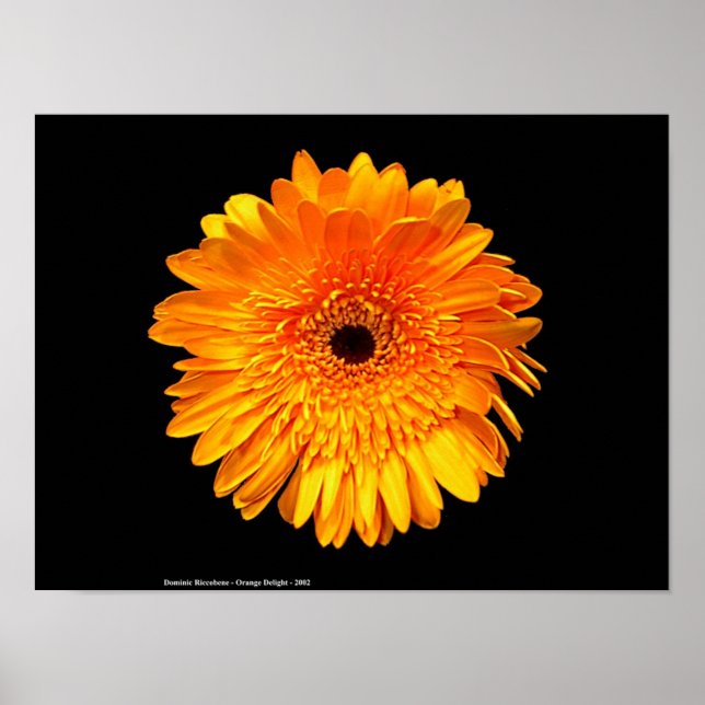 Groovy Poster (Front)