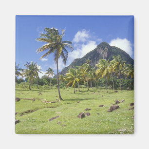 Gros Piton view along the historic trail in Magnet