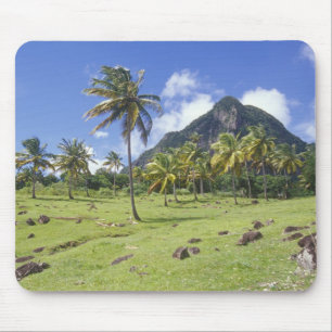 Gros Piton view along the historic trail in Mouse Pad