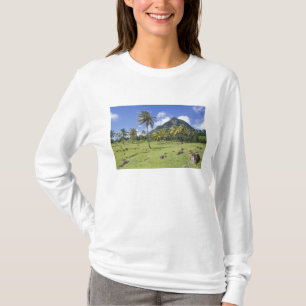 Gros Piton view along the historic trail in T-Shirt