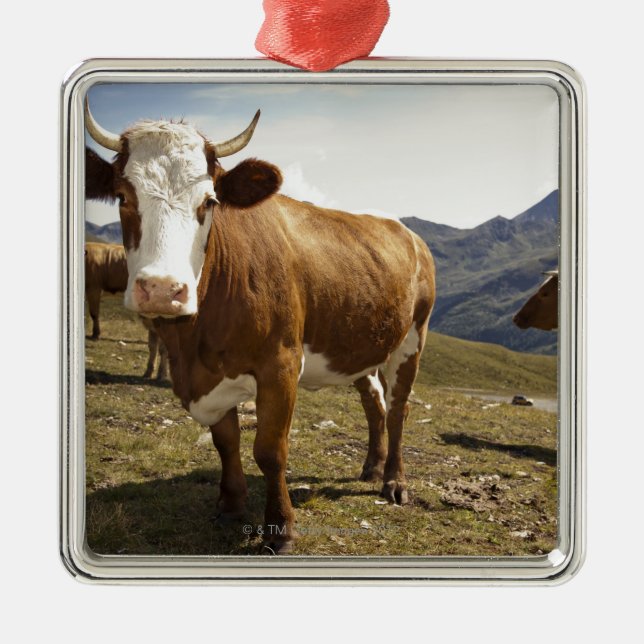 grossglockner hochalpenstrasse,hohe tauern, metal ornament (Front)