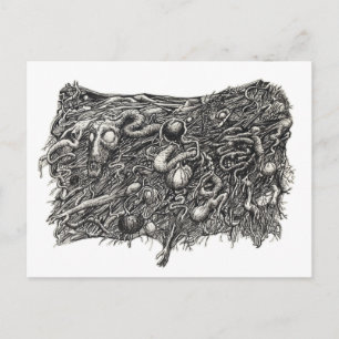 Grotesque Number 1, by Brian Benson Postcard