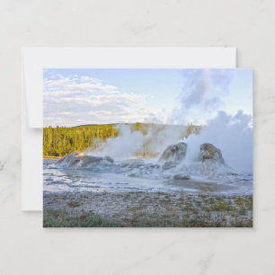 Grotto Geyser, Yellowstone National Park Postcard