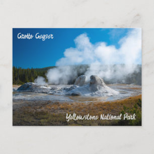 Grotto Geyser Yellowstone National Park Postcard