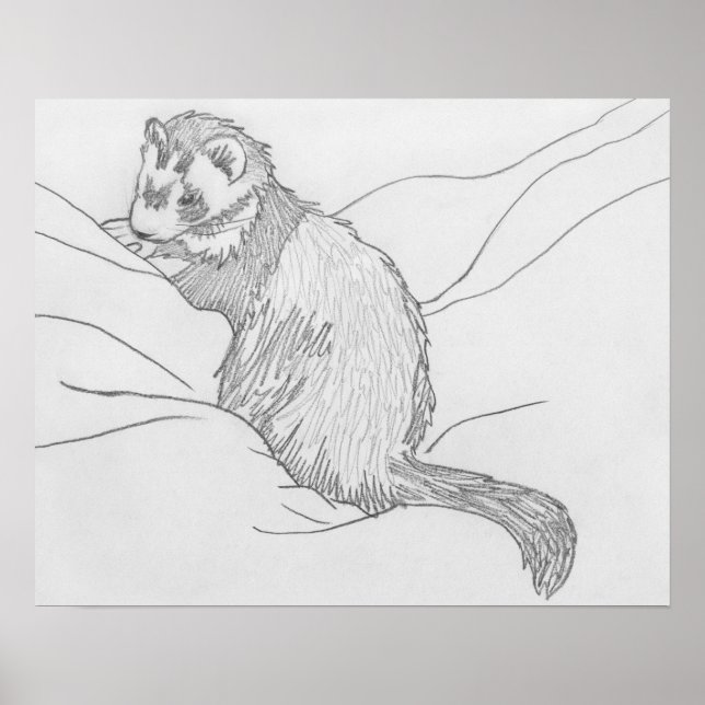 "Grouch" Ferret Drawing Poster (Front)