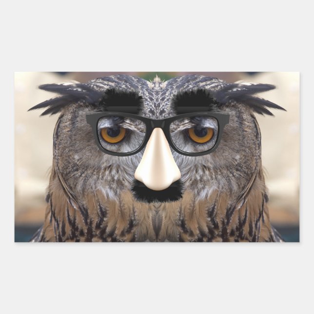 Groucho Marx Eagle Owl Rectangular Sticker (Front)