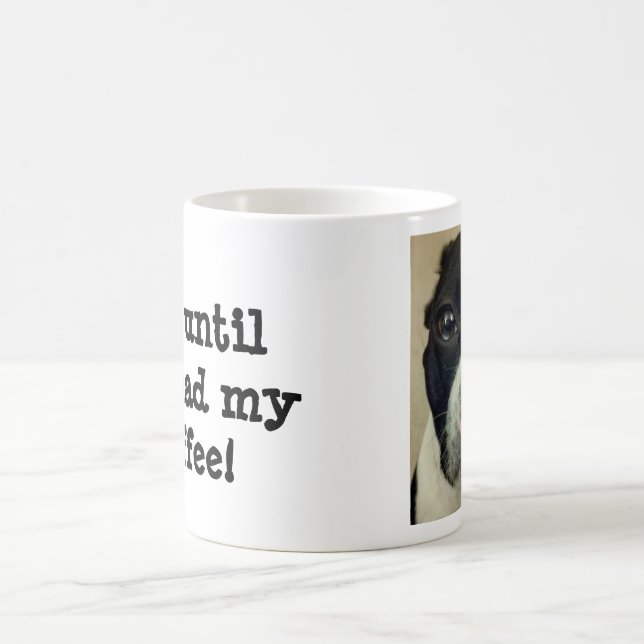Grouchy Boston Terrier Mug (Center)