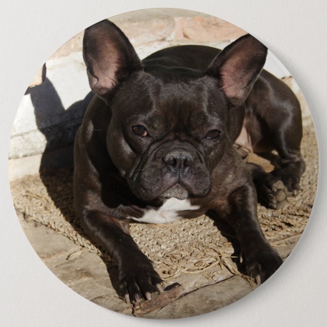 Grouchy French Bulldog 6 Cm Round Badge (Front)