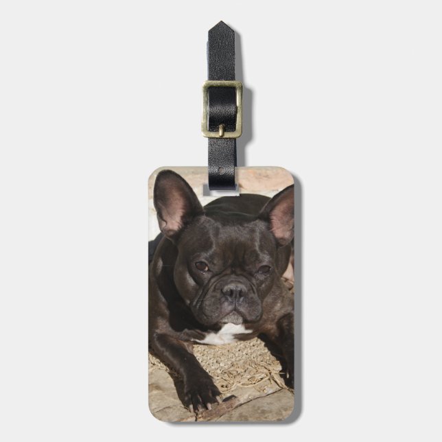 Grouchy French Bulldog Luggage Tag (Front Vertical)