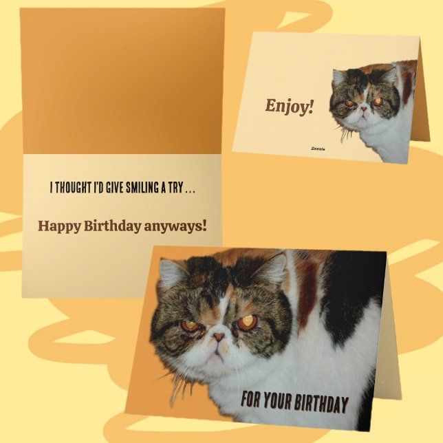 Grouchy Grumpy Cat Exotic Persian Funny Birthday Card (Creator Uploaded)