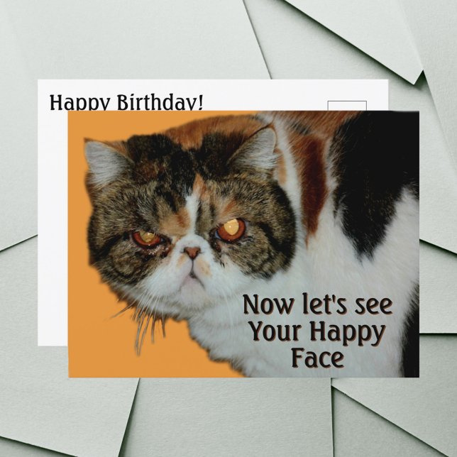 Grouchy Grumpy Cat Exotic Short-hair Persian Postcard (Creator Uploaded)