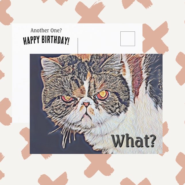 Grouchy Grumpy Cat Funny Birthday Postcard (Creator Uploaded)