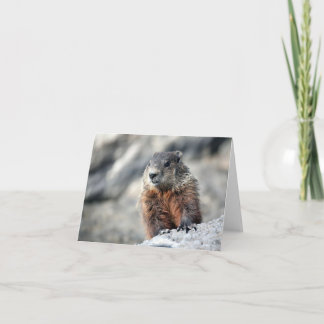 Ground Hog Card