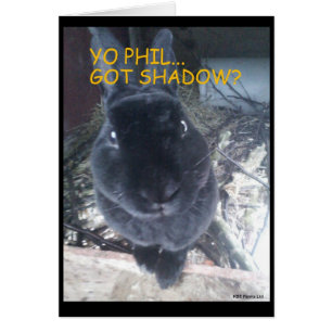 Ground Hog Day/Easter Card