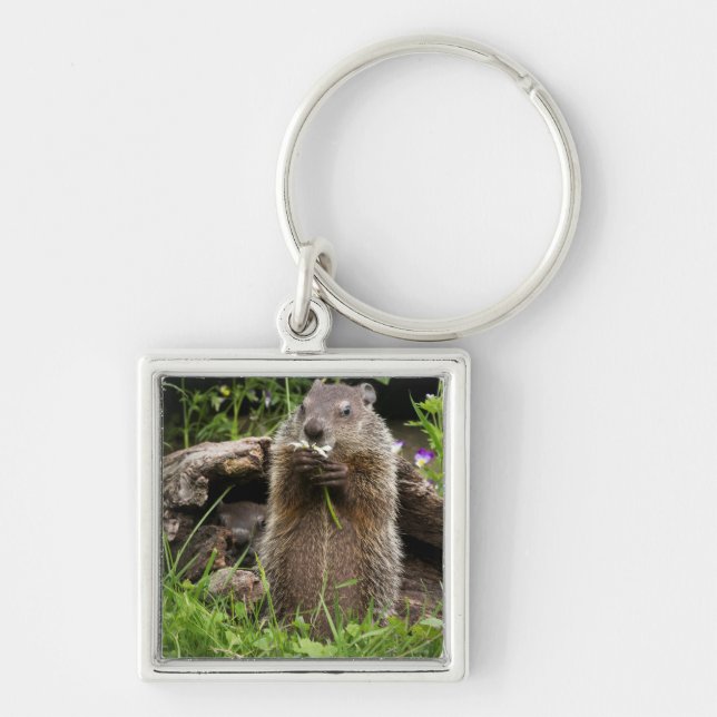 Ground Hog Munching on a Flower Key Ring (Front)