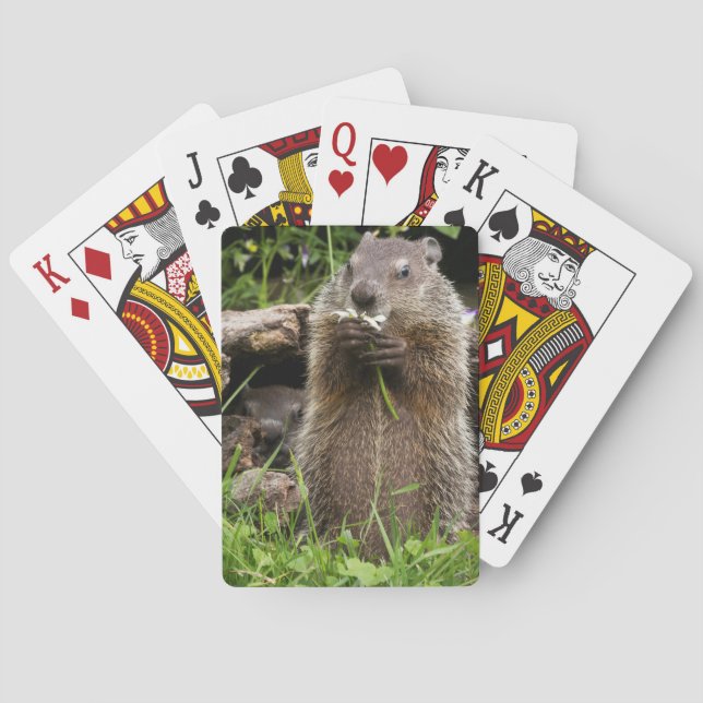 Ground Hog Munching on a Flower Playing Cards (Back)