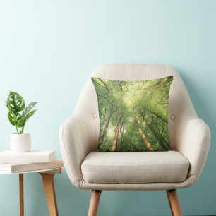 Ground-Level View of Tree Canopy Illuminated Cushion