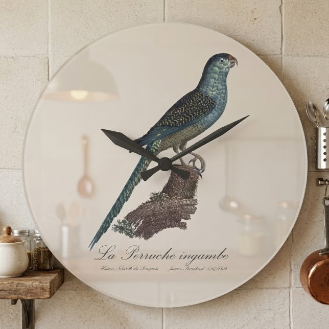 Ground Parrot or Swamp Parrot, Pezoporus Wallicus Large Clock (Ground Parrot or Swamp Parrot, Pezoporus Wallicus. Large Clock)