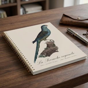 Ground Parrot or Swamp Parrot, Pezoporus Wallicus Planner