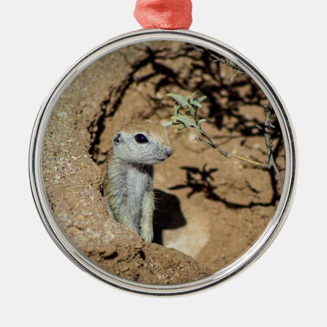 Ground Squirrel Ceramic Ornament (Front)