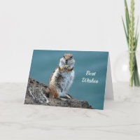 Ground Squirrel Congratulations Wedding Card