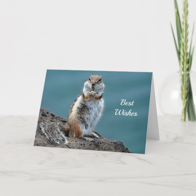 Ground Squirrel  Congratulations Wedding Card (Front)